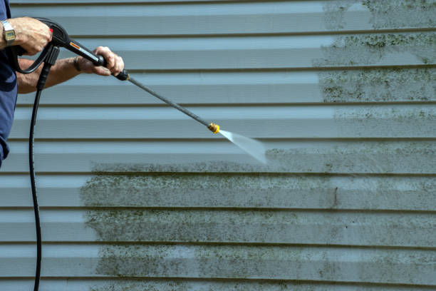 Best House Pressure Washing  in Willow Creek, CA